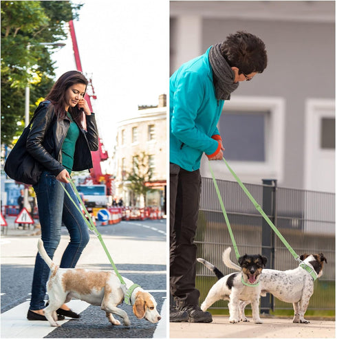 Wisedog Waterproof Standard Dog Leashes - 5 ft/6 ft Adjustable with 2 Hooks for Traffic Control Safety for Small,