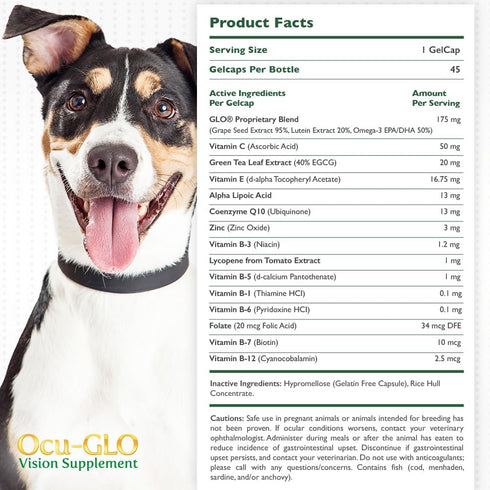 Ocu-GLO Vision Supplement for Small Dogs by Animal Necessity, Lutein, Omega-3, Antioxidants for Eye Health, 45ct