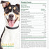 Ocu-GLO Vision Supplement for Small Dogs by Animal Necessity, Lutein, Omega-3, Antioxidants for Eye Health, 45ct