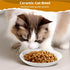Ceramic Cat Food Plates: Cat Wet Food Bowls/Whisker Fatigue Cat Dishes & Shallow Bowls for Kittens and Small Animals1