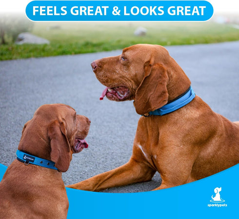 SparklyPets Heavy Duty Dog Collar with Handle for Medium and Large Dogs, Reflective Stitches, Soft Handle (Medium, Blue)