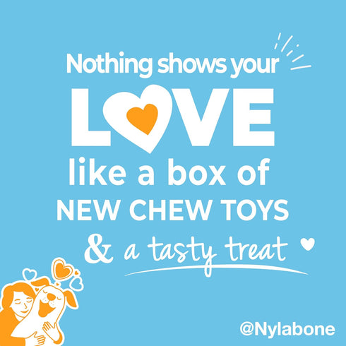 Nylabone Dog Toy Gift Box - 3 Strong Chew Toys and 1 Dog Treat, Chew Toys for Puppies, Small/Regular (4 Count)