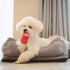 2 Latex Chew Dog Toys, Novelty Squeaky Pacifier Dog Toys for Teething Puppies, Mild Chewing Small, Medium, Large Dogs