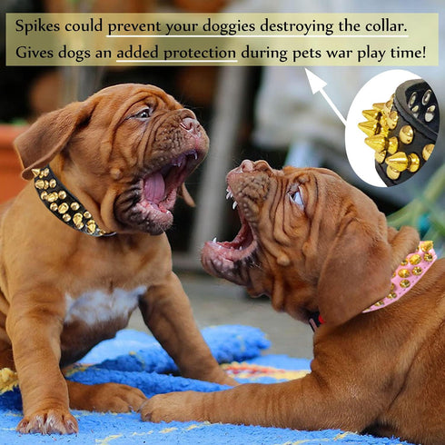 TEEMERRYCA Black Leather Dog Collar with Gold Spikes for Small Medium Large Pets, Pit Bulls/Bulldogs, XS (8.3"-10.6")