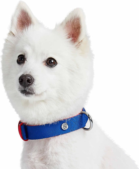 Blueberry Pet Iconic Color-Block Adjustable Dog Collar, Navy Blue and Red, Neck 17-20.5", for Large Breed