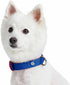 Blueberry Pet Iconic Color-Block Adjustable Dog Collar, Navy Blue and Red, Neck 17-20.5", for Large Breed