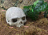 Hewnda Aquarium Decor Resin Artificial Head Skeleton Decoration - Aquarium Otaru Aquarium Decorative Cave Landscape Pet Reptile House by Hewnda