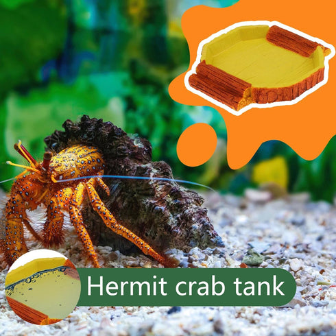 TELADESHX 6.1 5.71 0.79 inches) Hermit Crab Water Tank Hermit Crab Habitat Reptile Food Dish Accessories for Hermit