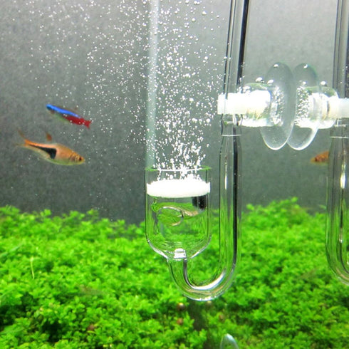 Nano CO2 Diffuser Glass Reactor for Planted Aquarium Tank