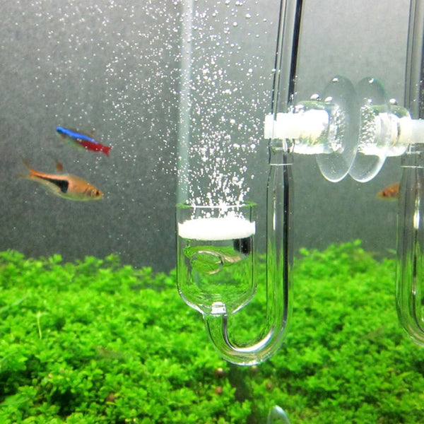 Nano CO2 Diffuser Glass Reactor for Planted Aquarium Tank