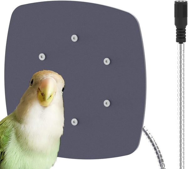 Thermostatical Bird Heater, IP67 Waterproof Bird Accessories, 12V, for Parakeets