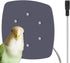 Thermostatical Bird Heater, IP67 Waterproof Bird Accessories, 12V, for Parakeets