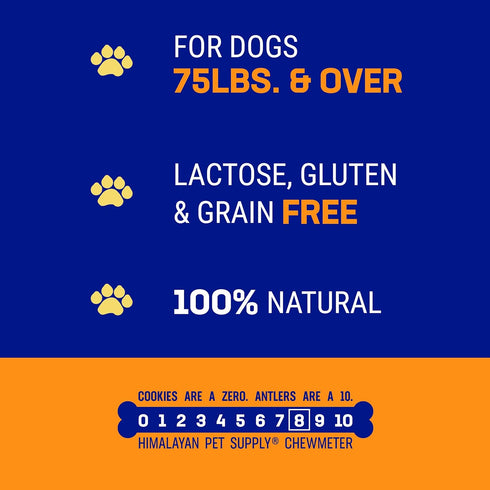 Himalayan Dog Chew - Dog's Treat with Yak and Cow Milk