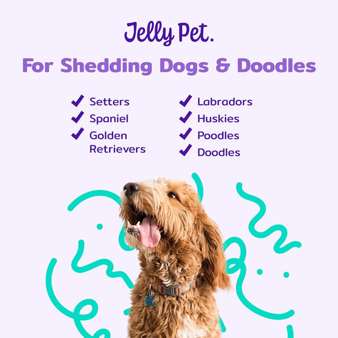 Pivoting Slicker Brush - Soft Pin Slicker for Shedding Dogs, Protects Skin, Effortless Brushing, Detangles and Desheds