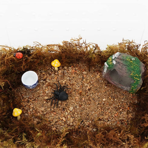 DQITJ 9 Pcs Spider Micro Ceramic Water Bowl, Hermit Crab Mini Dish for Spider Tarantula Hermit Crab Millipede Tiny