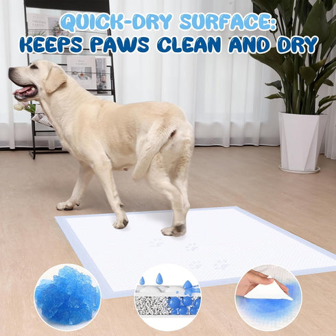 Tovley 36x36 Inches, 20 Count 6-Layer 12 (20 Count) Dog Pee Pads Extra Large Extra Thick Heavy Duty Holds Up to Cups