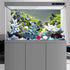 AWERT 48x24 inches Stone Fish Tank Background, Aquatic Plant River Bed & Lake Vinyl Background