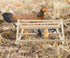 3 Pack Chick Perch Chick Toys Chick Wooden Roosting Bar Chick Jungle Gym Perch Stand for Chicken Brooder, Coop Baby