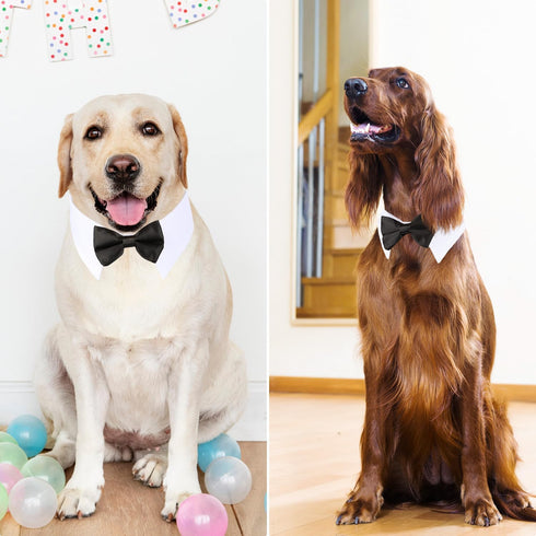 Segarty Dog Tuxedo Bow Tie Collar - Black Bowtie with Adjustable White Necktie for Medium Large Dogs, Wedding Gift