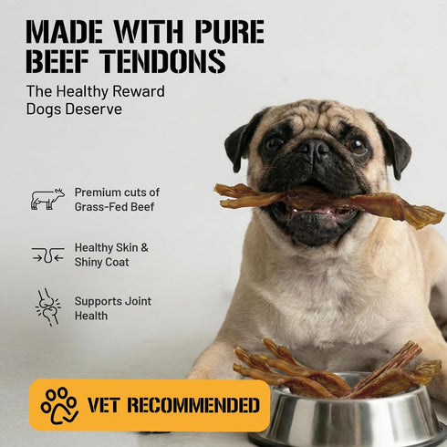 7-9 inch, 6 Dog Chits Beef Tendons for Dogs & Puppies - High Protein, Low Fat - All Natural Beef Tendon Chew - Chewy