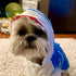 NACOCO Dog Shark Costume, Cute Pet Clothes for Cats and Dogs, Blue, XS