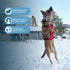 Voyager No Pull Dog Harness for Large Dogs - Adjustable Soft but Strong Pet Harness with Dual Leash Attachments, Red