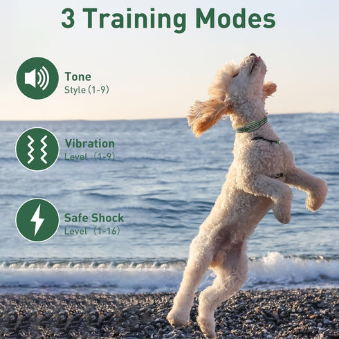 Dog Training Shock Collar with Remote 3300ft Range - Waterproof Rechargeable E Collar for 10-110lbs Dogs