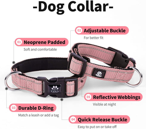 IVY&LANE Adjustable Reflective Dog Collar and Leash Set, Neoprene Padded for Small Medium Large Dogs, 5FT Nylon Leash