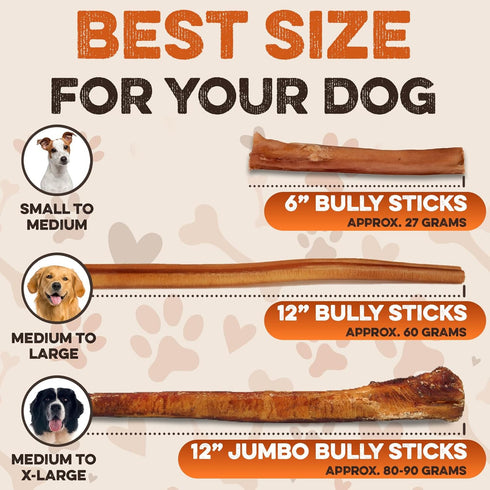 BRUTUS & BARNABY 6" Bully Sticks for Dogs, Low-to-No Odor, Grass-Fed Chews