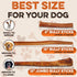 BRUTUS & BARNABY 6" Bully Sticks for Dogs, Low-to-No Odor, Grass-Fed Chews