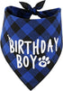 Dog Birthday Boy Bandana for Celebrating Your Pet's Special Day