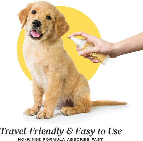 Purifying Hair & Body Mist, Dog Grooming Conditioner Spray with Aloe Vera & Vitamin E, 150ml