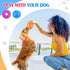 4 Pcs 4.5'' Spiky Squeaker Football Dog Toy for Medium Large Dogs, Spiky Balls for Aggressive Chewers