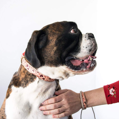 Pettsie Matching Dog Collar and Owner Bracelet - Adjustable for Small & Medium Dogs, Red Hemp