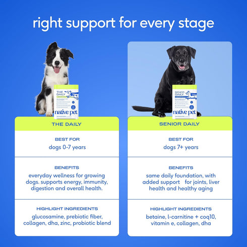 12-in-1 Immune 30 Native Pet Senior Daily Dog Vitamins & Supplements Dog Multivitamin Powder for Senior Dogs Supports
