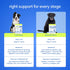 12-in-1 Immune 30 Native Pet Senior Daily Dog Vitamins & Supplements Dog Multivitamin Powder for Senior Dogs Supports