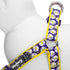 Blueberry Pet Step-in Dog Harness - Small, Adjustable, Loving Daisy Prints, Chest Girth 16.5" - 21.5"
