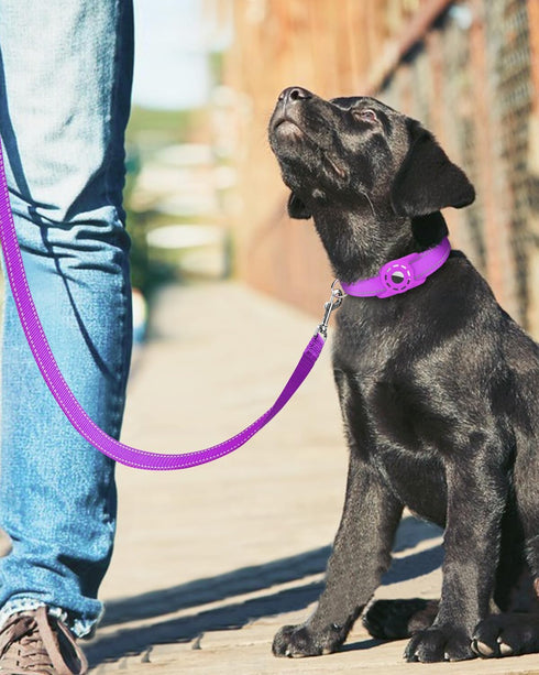 6ft Dog Leash for Small Medium Large Dogs, One-Sided Reflective Nylon, Padded Handle, Purple, 3/4 inch Wide