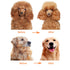 Dog or Cat Comb, Grooming Tool with Short and Long Teeth for Dematting Knots and Tangles for Dogs and Cats