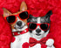 Amajiji Dark Red Formal Dog Bow Ties for Medium & Large Dogs (D114 100% Polyester)