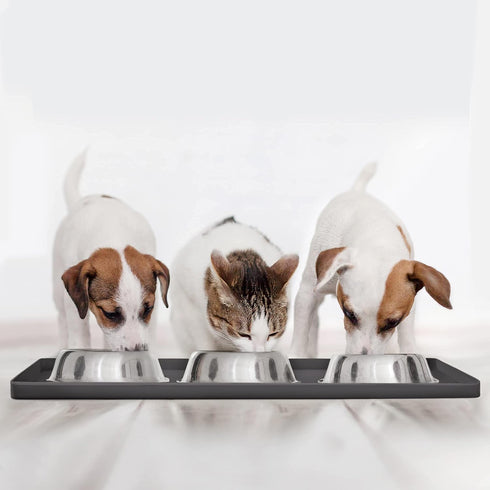 DogBuddy Waterproof Dog Food Mat, Silicone Mat for Dog Bowls, Nonslip Pet Feeding Mat, Small: 19"x12"