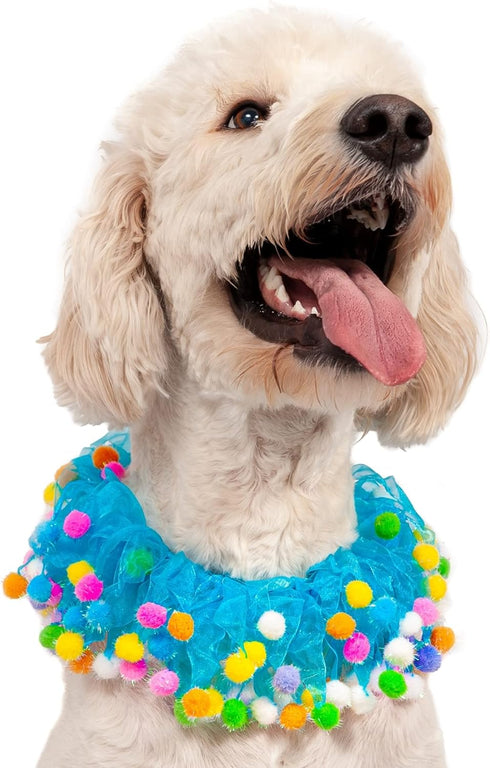 Midlee Blue Birthday Pom Pom Dog Collar (Small)