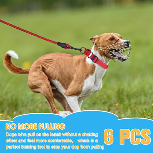 6 Pcs Multicolor Nylon Martingale Dog Collar, Adjustable Training Collar with Buckle for Dogs and Puppies