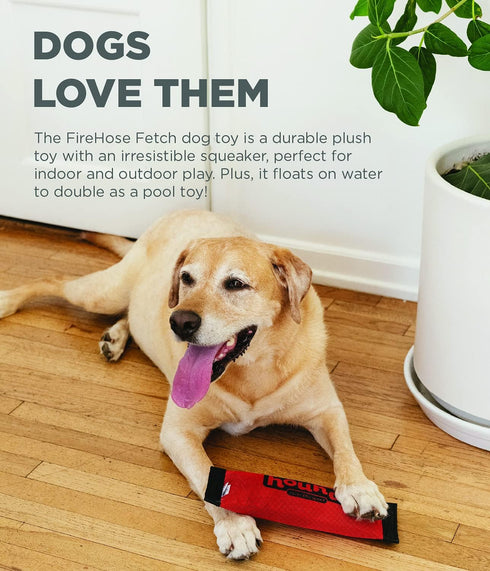 Outward Hound FireHose Fetch Dog Toy, Large Size for Interactive Play