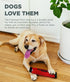 Outward Hound FireHose Fetch Dog Toy, Large Size for Interactive Play