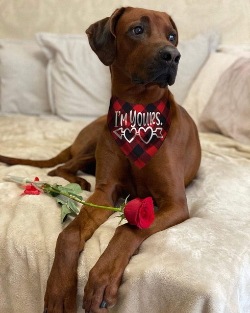 Pack of 2 Dog Bandana, Valentines Day Reversible Buffalo Plaid Triangle Bibs Pet Scarf