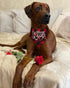 Pack of 2 Dog Bandana, Valentines Day Reversible Buffalo Plaid Triangle Bibs Pet Scarf