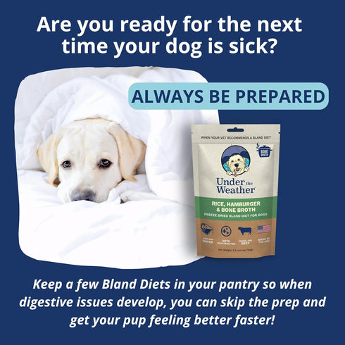 Under the Weather Easy to Digest Bland Diet for Sick Dogs - Gluten Free, All Natural, Freeze Dried 100% Human Grade