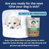 Under the Weather Easy to Digest Bland Diet for Sick Dogs - Gluten Free, All Natural, Freeze Dried 100% Human Grade