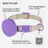 CollarDirect Cat Collar with Airtag Holder, ID Tag, and Bell - Breakaway Nylon Collar for Kittens and Cats (Violet, XS)